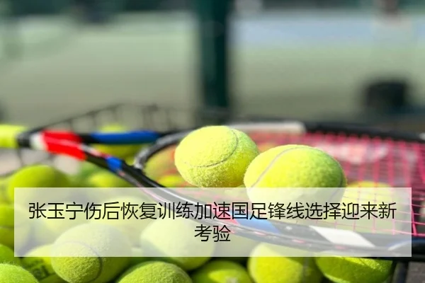 张玉宁伤后恢复训练加速国足锋线选择迎来新考验