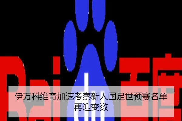 伊万科维奇加速考察新人国足世预赛名单再迎变数